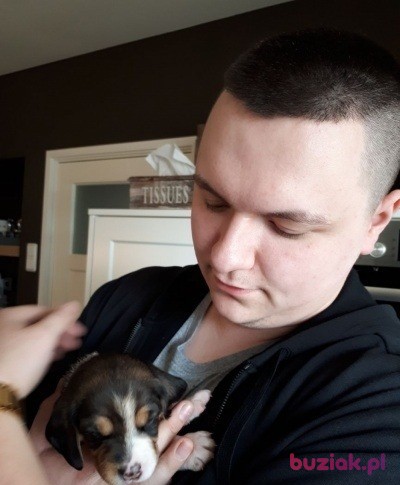 Lukasz, Mężczyzna, 30, Holandia, Zdjęcie: 3