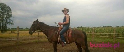Jacek, Mężczyzna, 42, Wyszków, Polska, Zdjęcie: 2