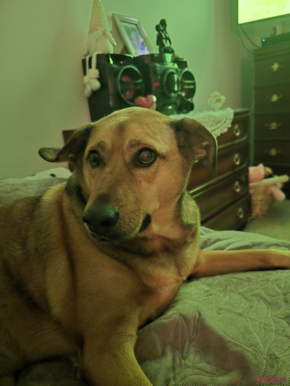 Farandrzej, Male, 66, Wielka Brytania, Photo: 3