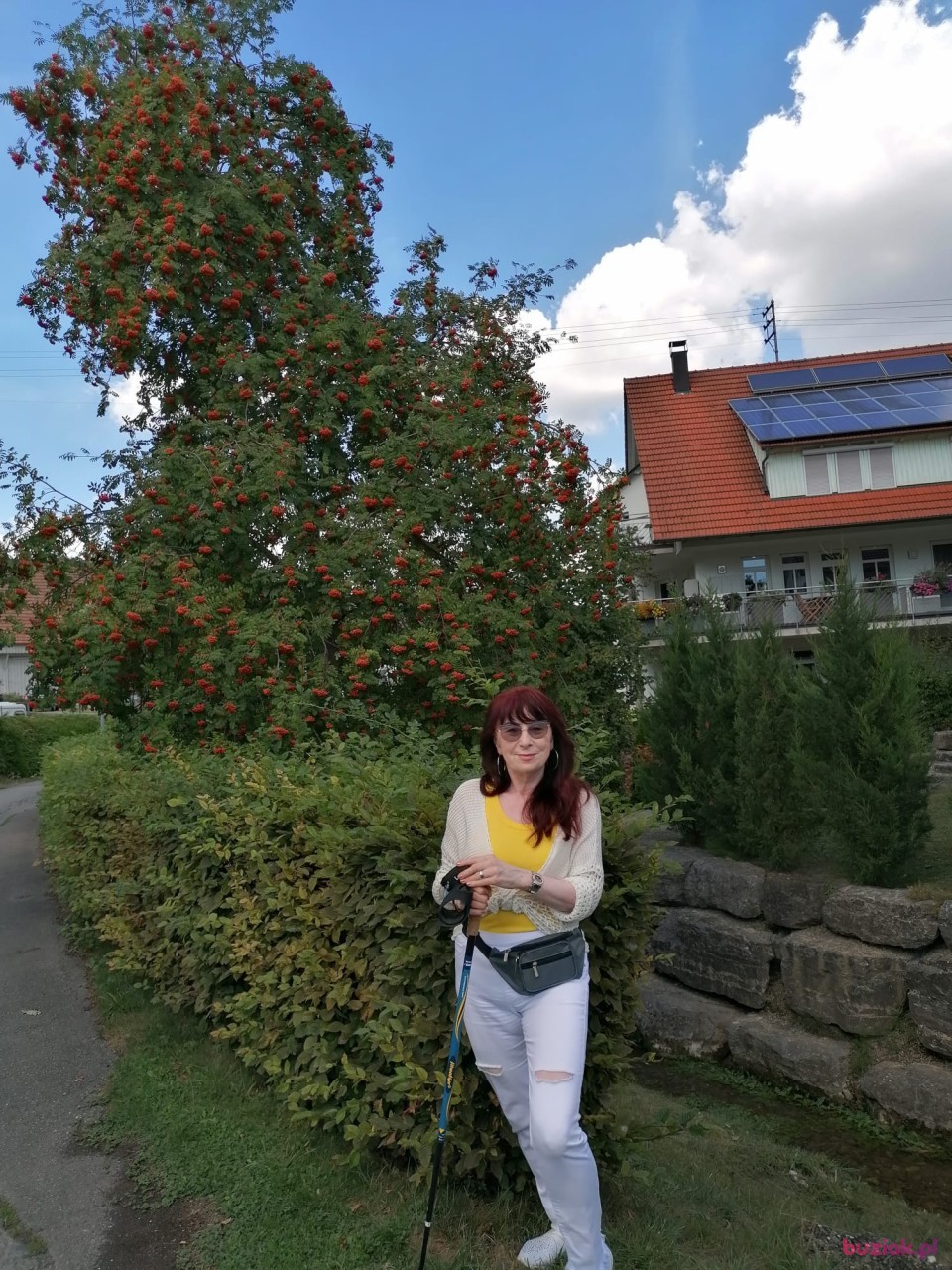 Danuta, Female, 65, Lublin, Polska, Photo: 2