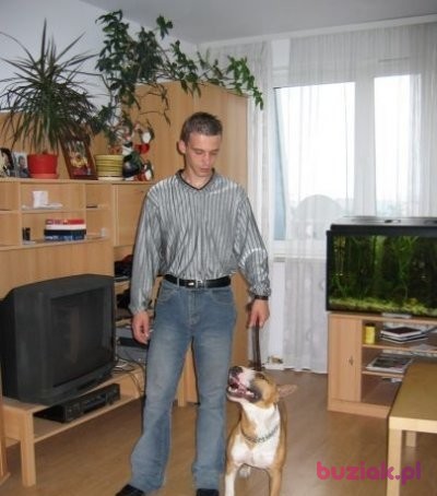 Adrian21g, Mężczyzna, 40, Cieszyn, Polska, Zdjęcie: 3