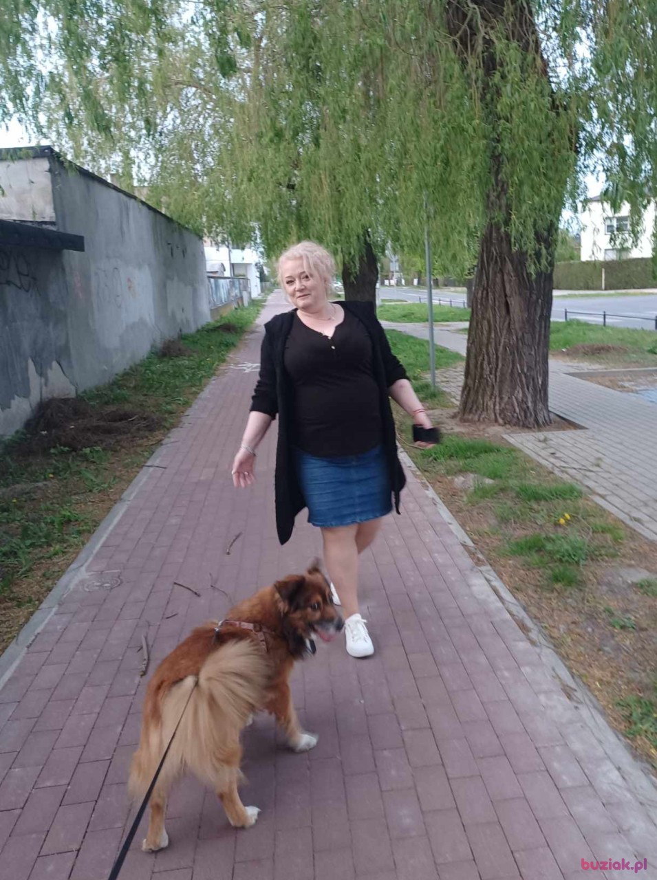 Aniika, Kobieta, 54, Sochaczew, Polska, Zdjęcie: 3