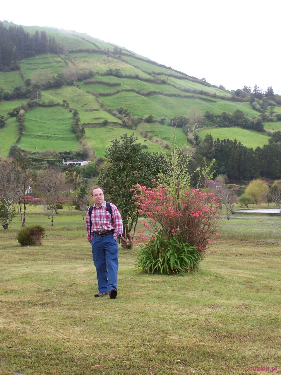 Jacek, Male, 68, Szwecja, Photo: 2