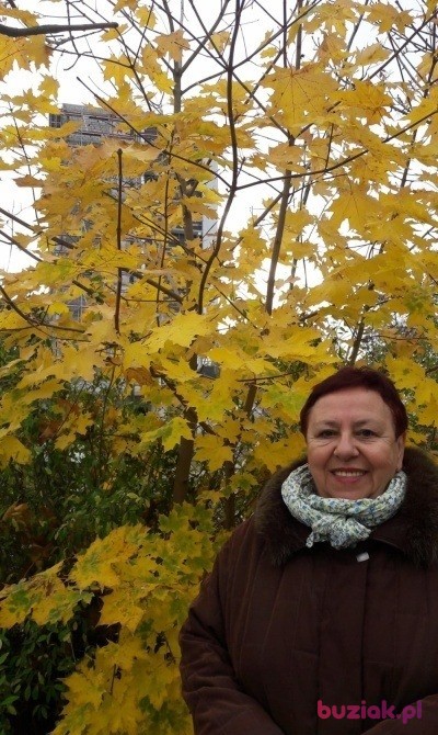 Lucyna, Female, 71, Wrocław, Polska, Photo: 17