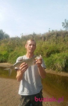 rafal, Male, 42, Starogard Gdański, Polska: 1