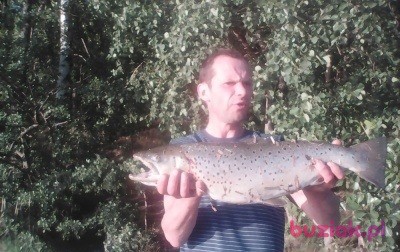 Artur, Male, 51, Bytom, Polska, Photo: 2