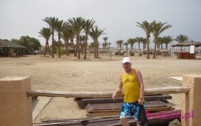 wlodek, Male, 67, Kartuzy, Polska, Photo: 3