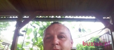 Robert, Male, 46, Holandia: 1