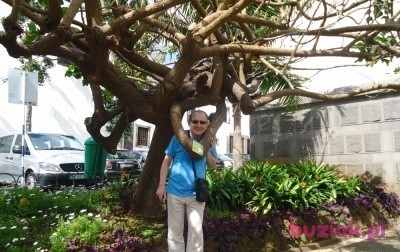 Tadeusz, Male, 72, Wrocław, Polska, Photo: 2