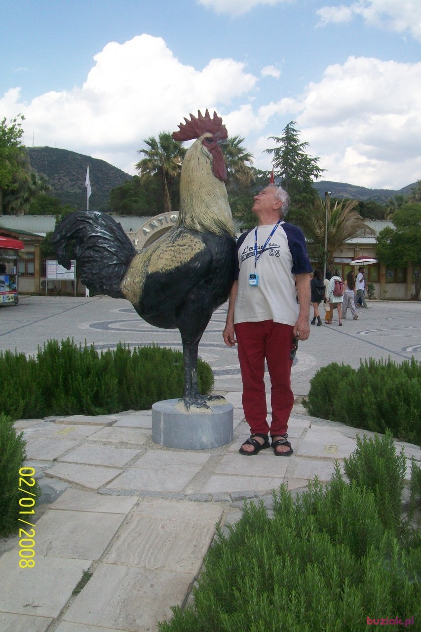 Jerzy, Male, 76, Rybnik, Polska, Photo: 4