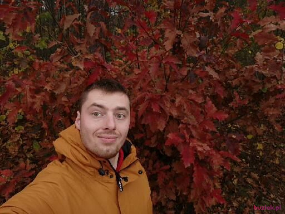 Kamil, Mężczyzna, 29, Haarlem North Holland Province, Holandia: 1