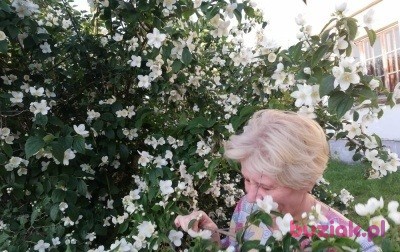 Dorota, Female, 58, Strzelce Krajeńskie, Polska, Photo: 6