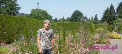 Norbert, Male, 69, Hamburg, Niemcy, Photo: 1