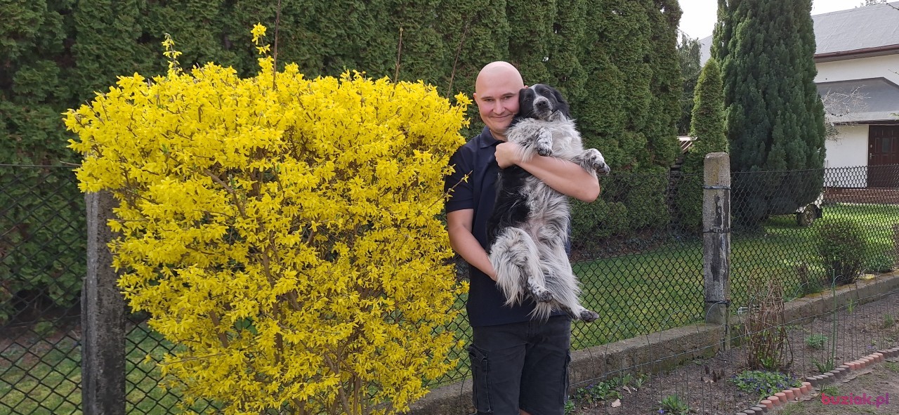 Michał, Mężczyzna, 36, Zgierz, Polska, Zdjęcie: 297