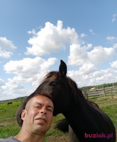 adam, Male, 47, Bielsk Podlaski, Polska, Photo: 6