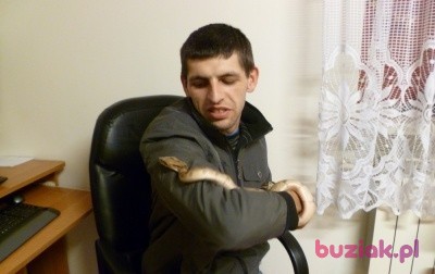 radarek28, Male, 37, Polska, Photo: 3
