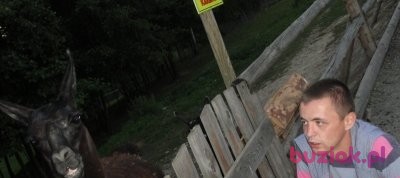 Tomasz, Mężczyzna, 35, Andrychów, Polska, Zdjęcie: 5