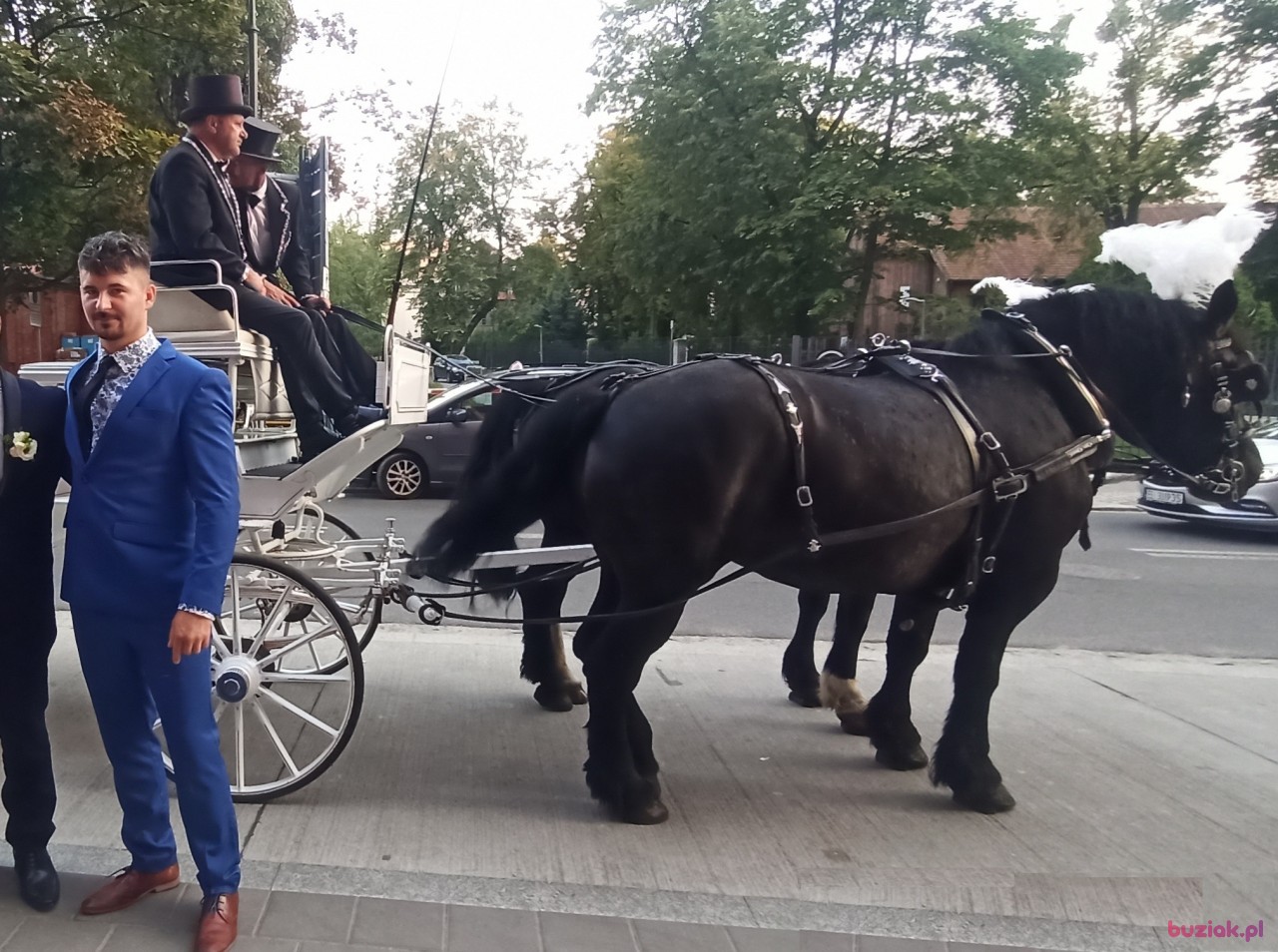 Dawid, Mężczyzna, 33, Rotterdam South Holland Province, Holandia, Zdjęcie: 2