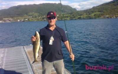 DARIUSZ, Male, 50, Nowogard, Polska: 1