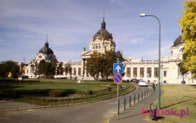 Bronislawa, Kobieta, 67, Opole, Polska, Zdjęcie: 3
