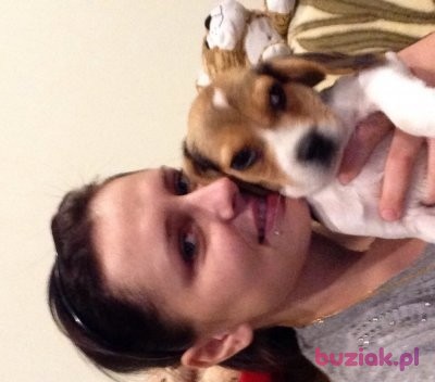 Kamila, Female, 38, Etterbeek Brussels, Belgia, Photo: 4
