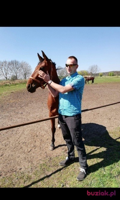 Piotr, Mężczyzna, 45, Frankfurt, Niemcy, Zdjęcie: 3