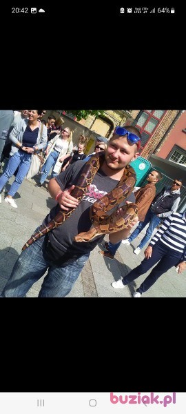 Adrian, Mężczyzna, 28, Pruszcz Gdański, Polska, Zdjęcie: 6