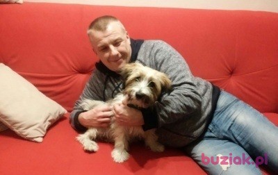 Krzysztof, Mężczyzna, 51, Katowice, Polska, Zdjęcie: 10
