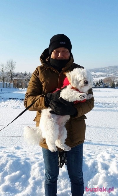 Kkoo , Male, 49, Westminster, Wielka Brytania, Photo: 1