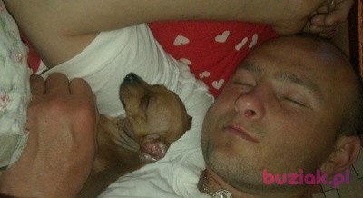 asan1, Male, 49, Bobolice, Polska: 1