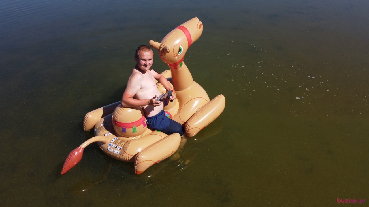 Michał, Mężczyzna, 36, Zgierz, Polska, Zdjęcie: 467