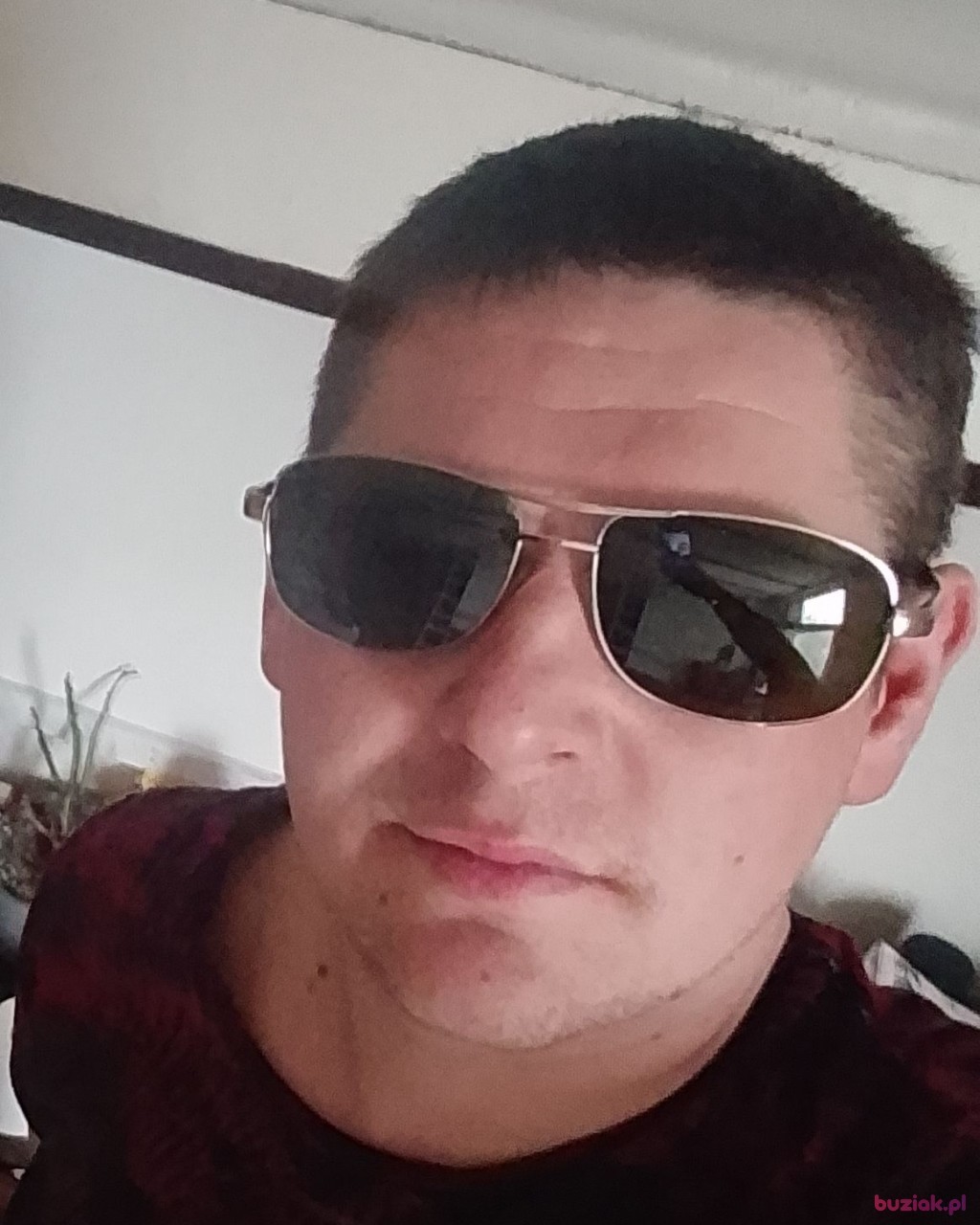 Wojtek, Mężczyzna, 28, Holandia, Zdjęcie: 2