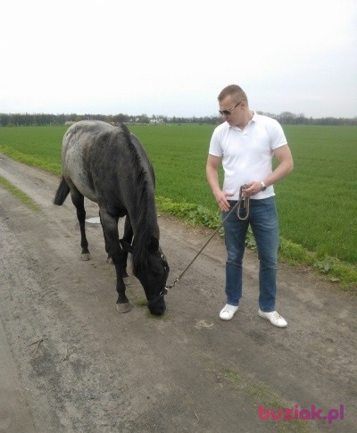 Michał, Male, 39, Zabrze, Polska: 1