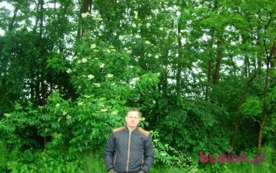Ryszard, Male, 49, Kożuchów, Polska, Photo: 2