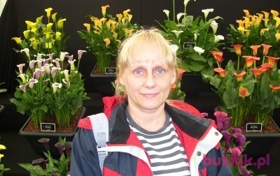 Anita, Kobieta, 60, Wielka Brytania, Zdjęcie: 2