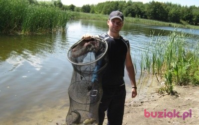 Robertosss24, Male, 33, Chełmno, Polska: 1