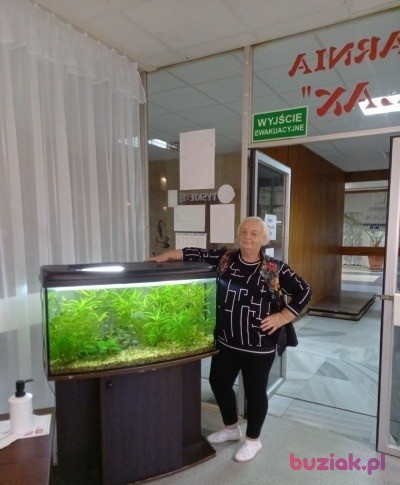 Krystyna, Female, 69, Warszawa, Polska, Photo: 2