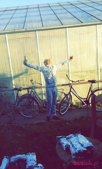 Mateusz, Male, 32, Holandia, Photo: 1