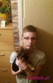 Darek, Mężczyzna, 25, Gorzów Wielkopolski, Polska, Zdjęcie: 3