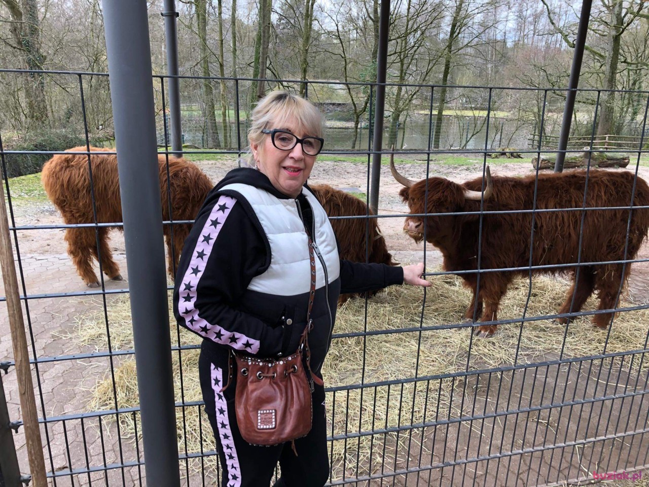 Marlena, Female, 68, Kalisz, Polska, Photo: 3