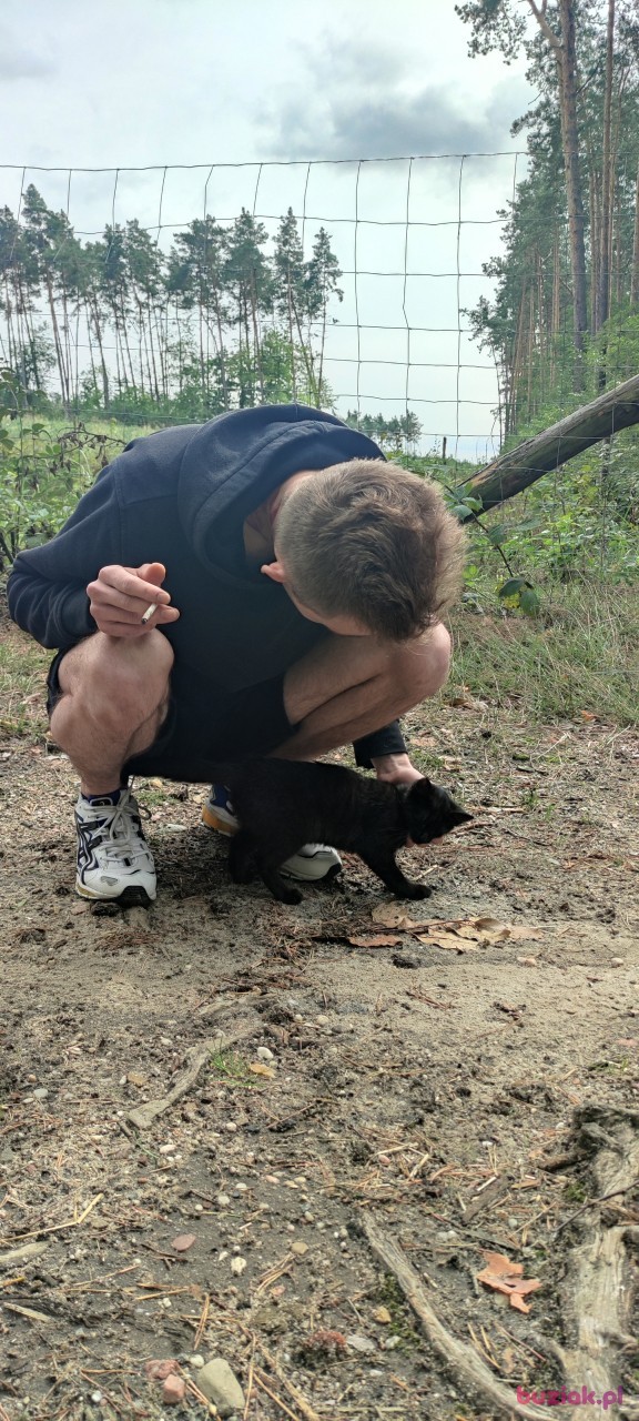 Marcin, Mężczyzna, 24, Tilburg, Holandia, Zdjęcie: 3