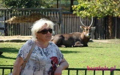barbara, Kobieta, 67, Częstochowa, Polska: 1
