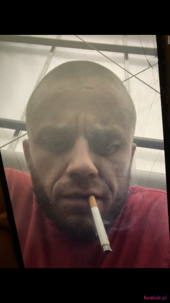 Krystek, Mężczyzna, 29, Rotterdam South Holland Province, Holandia: 1