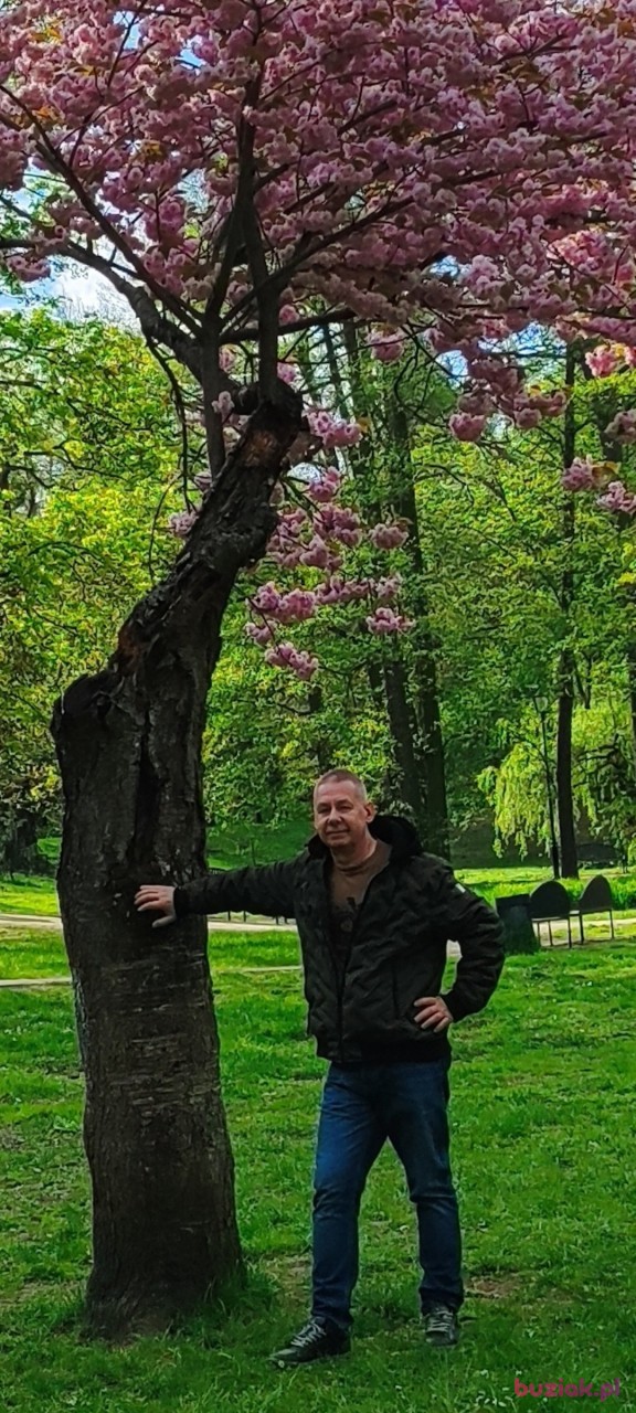 Irek, Mężczyzna, 60, Gdańsk, Polska, Zdjęcie: 5