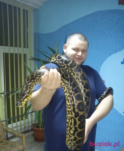 Tomasz, Male, 35, Gryfice, Polska, Photo: 1