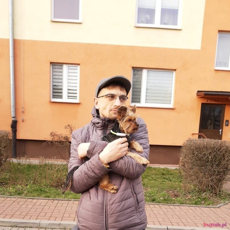 Dex, Mężczyzna, 31, Hannover, Niemcy: 1