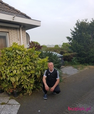 Andrzej, Mężczyzna, 41, Rotterdam South Holland Province, Holandia: 1