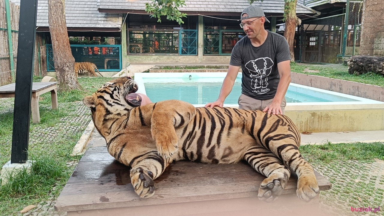 Tom, Male, 43, Yeovil, Wielka Brytania, Photo: 3