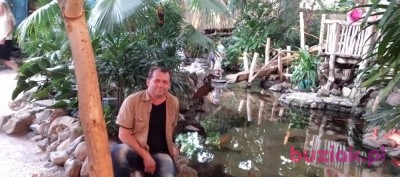 Aro, Mężczyzna, 50, Holandia, Zdjęcie: 1
