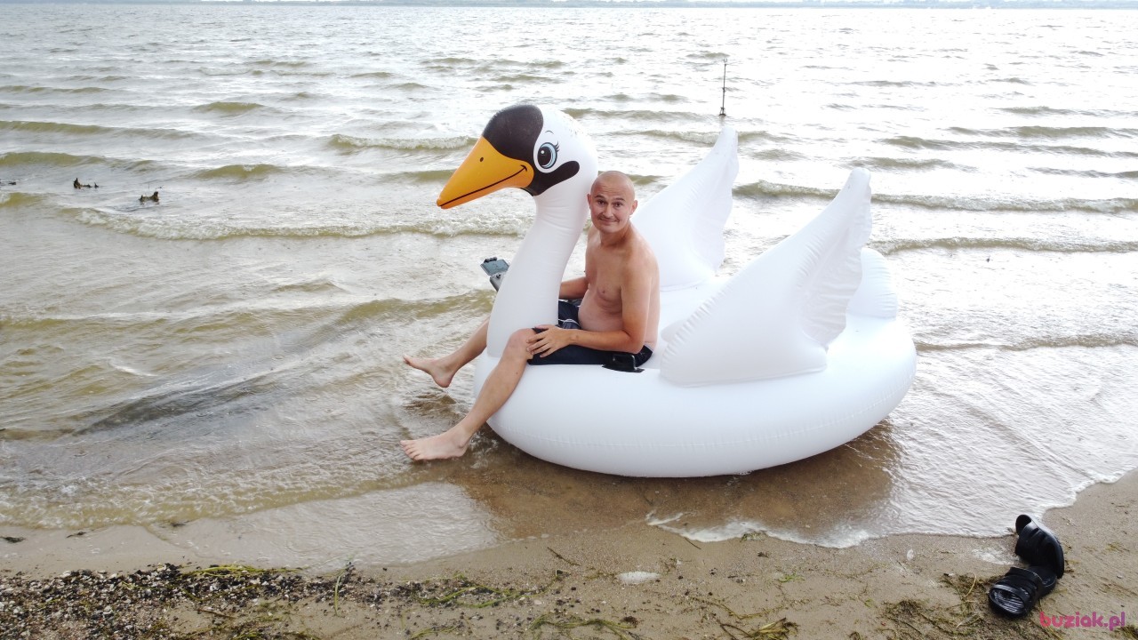 Michał, Mężczyzna, 36, Zgierz, Polska, Zdjęcie: 521